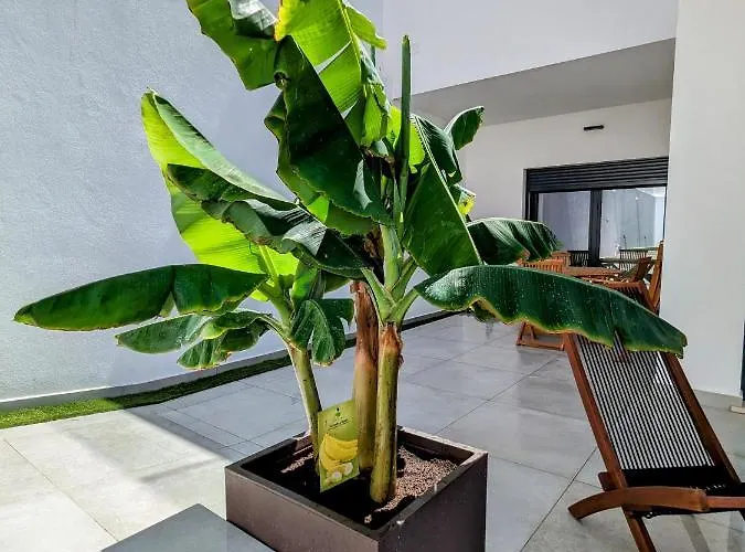 Ria Breez'in By Johnvillas